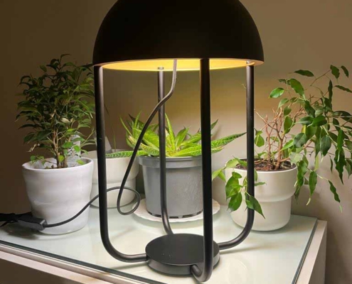 lampara negra encima mesa plantas