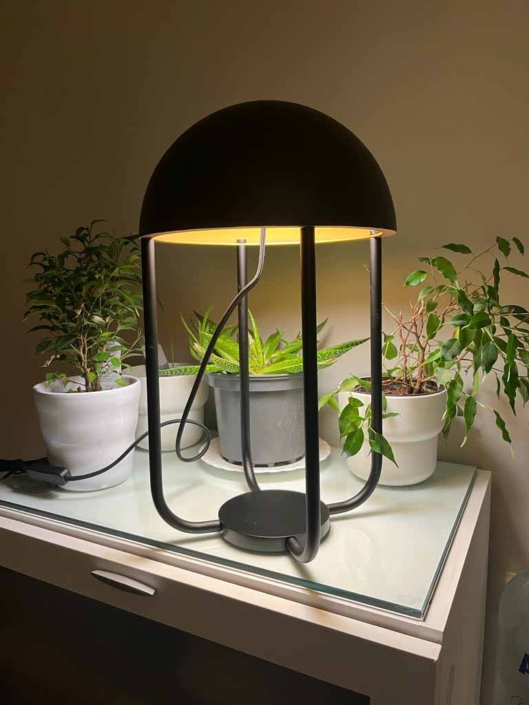 lampara negra encima mesa plantas