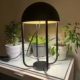lampara negra encima mesa plantas