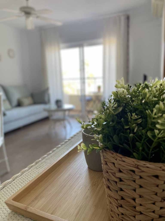 planta mesa maceta